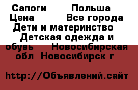 Сапоги Demar Польша  › Цена ­ 550 - Все города Дети и материнство » Детская одежда и обувь   . Новосибирская обл.,Новосибирск г.